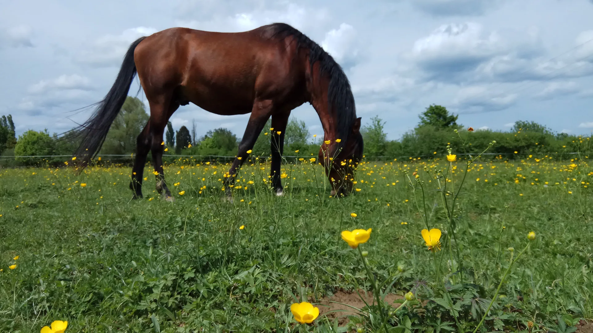 jcm_0007_IMG_20190428_130049