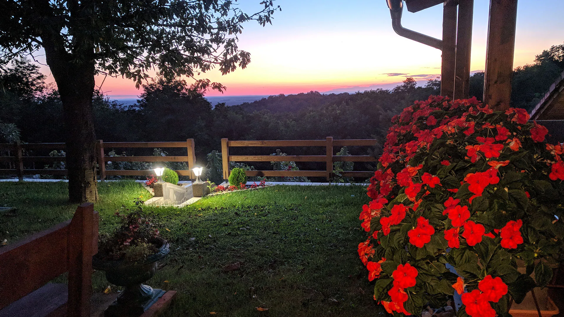 sambo1_0013_IMG_20190815_202132