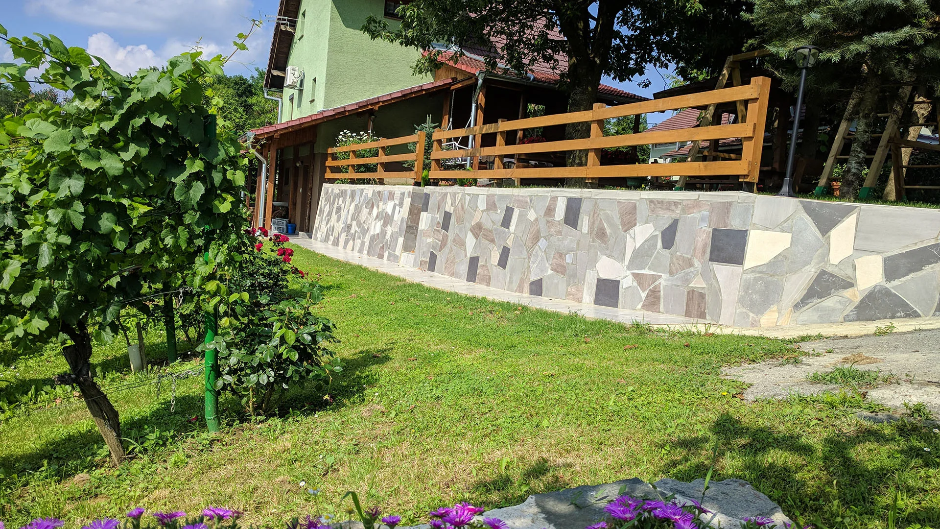 sambo1_0017_IMG_20190619_161531