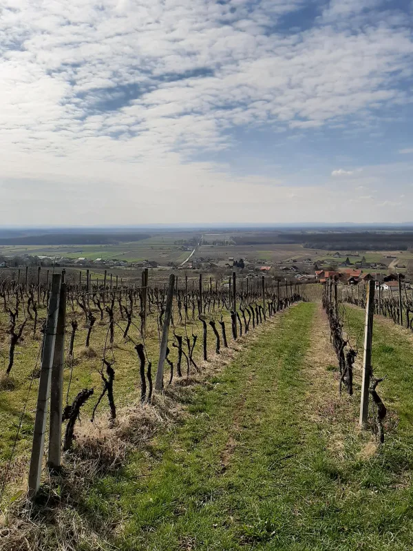 ziz_0000_20200308_113445 ziz_0000_20200308_113445